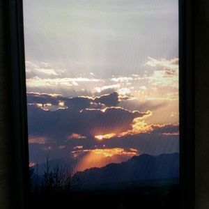 Meet your Posher, Judy